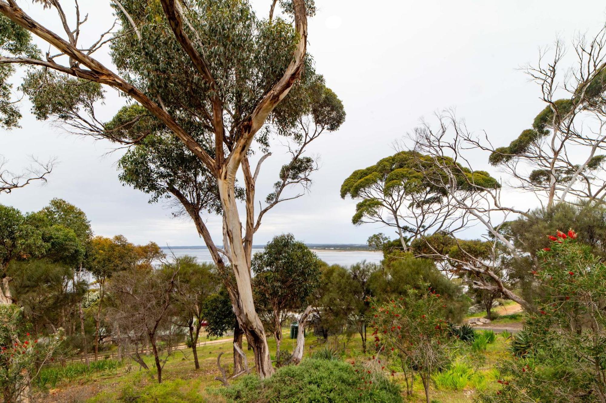 The River Suites, Kangaroo Island American River Exterior foto
